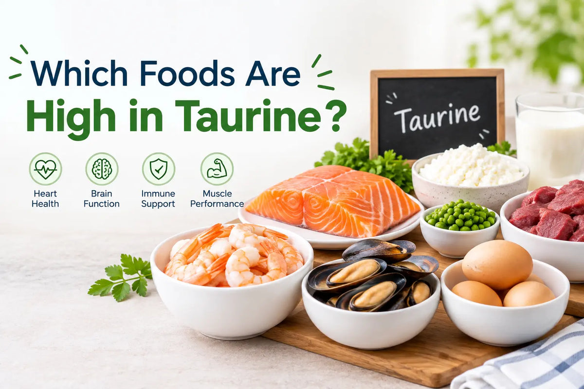 Which Foods Are High in Taurine?