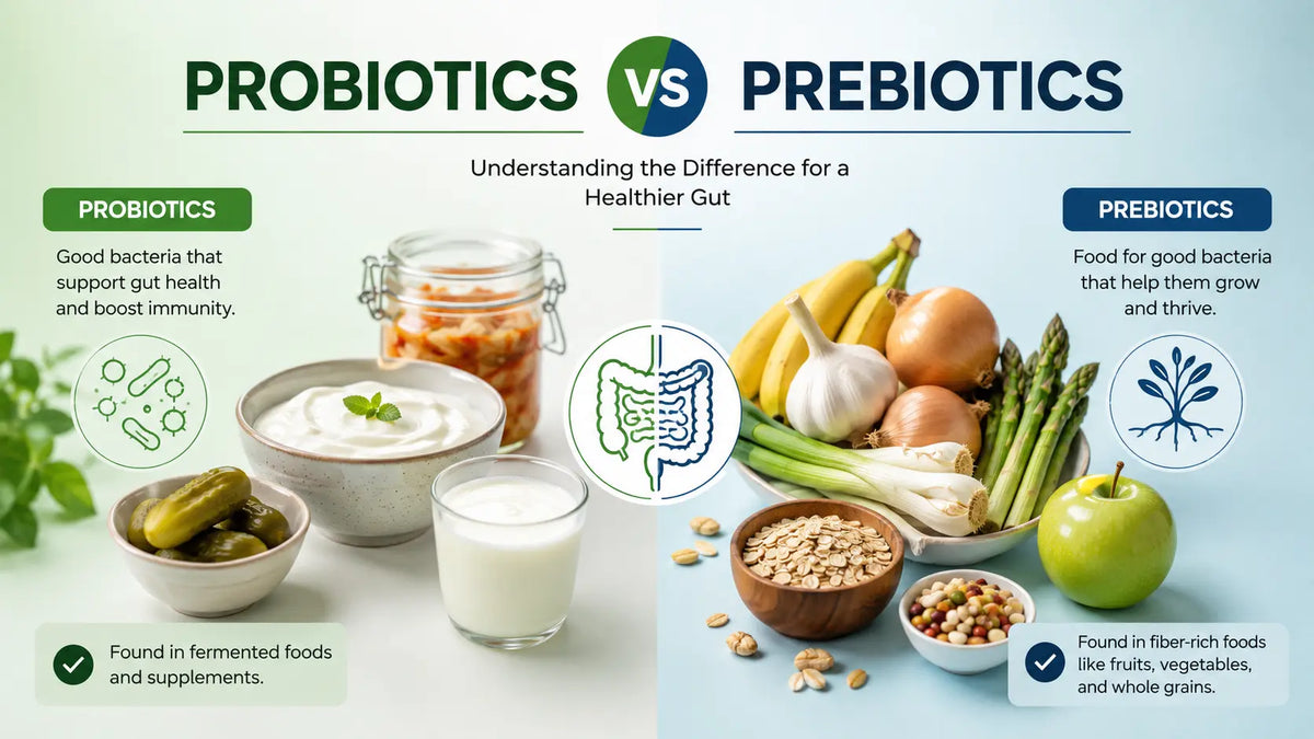 Probiotics vs Prebiotics